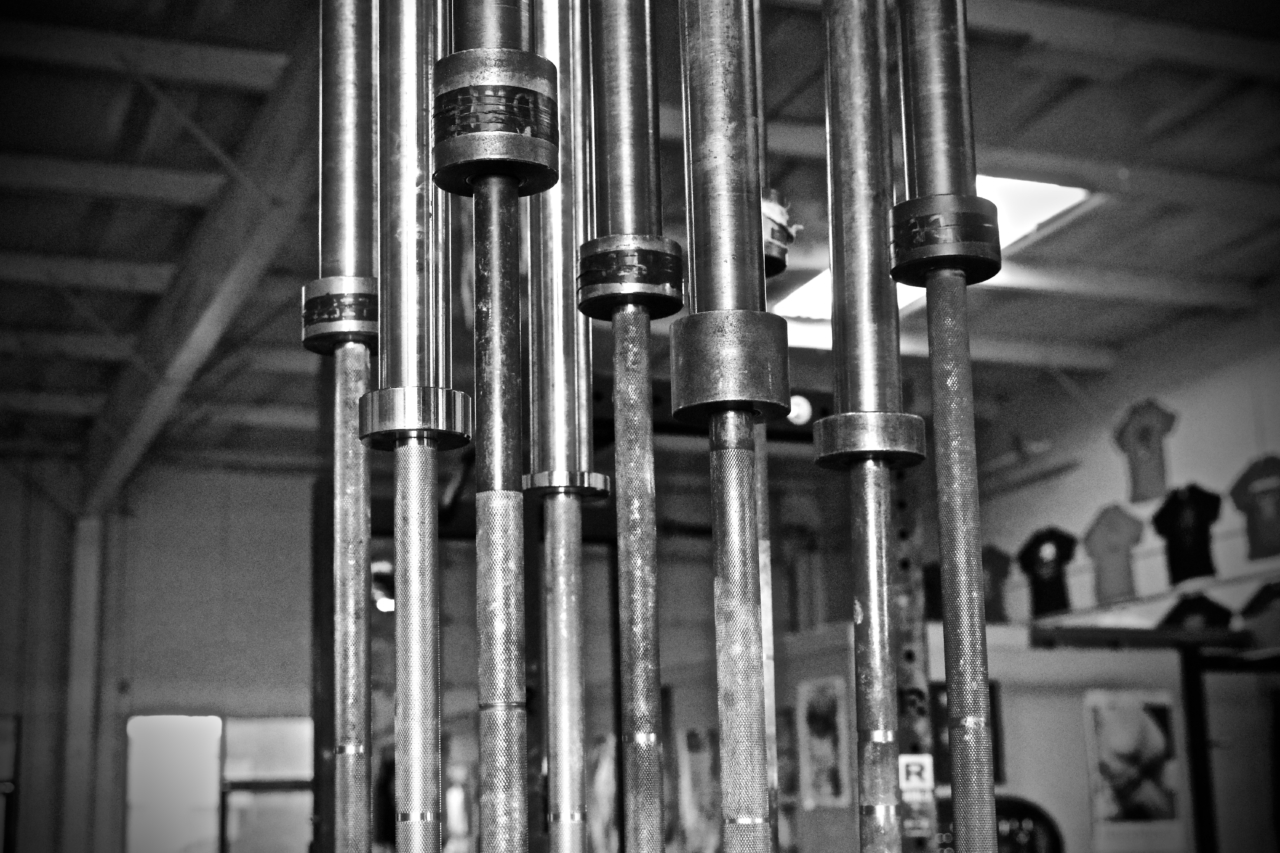 A variety of barbells